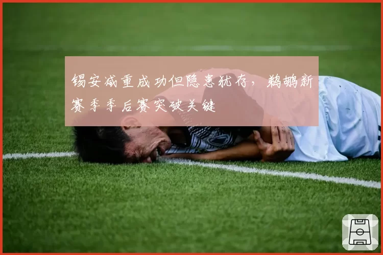 锡安减重成功但隐患犹存，鹈鹕新赛季季后赛突破关键