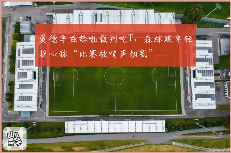 爱德华兹怒吼裁判吃T，森林狼年轻核心称“比赛被哨声切割”
