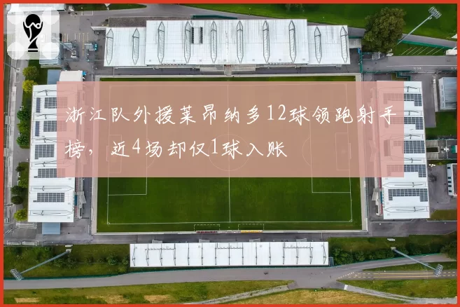 浙江队外援莱昂纳多12球领跑射手榜,近4场却仅1球入账
